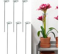 Kit de 6 estacas para plantas con clips ajustables para ayudar a la amarilis y las orquídeas a crecer en posición vertical en cualquier clima (45 cm)