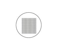 Kit de accesorios para microscopios Diapositiva de calibración de microscopio con rejilla C6 de 19 mm, 20,4 mm y 24 mm de diámetro, micrómetro de ocular de vidrio óptico con división de 0,2 mm for mic