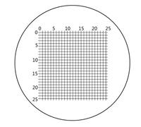 Kit de Accesorios para microscopios Red de la Regla de Cristal óptica for el microscopio biogólico de 23.2 mm de diámetro 19 mm Portaobjetos de microscopio (Color : MS-1-W5)