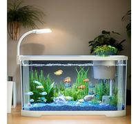 Kit de Acuario, Acuario con iluminación LED y de filtración, 11 L, 30 x 20 x 19 cm, Transparente SilentAquarium, Negro/