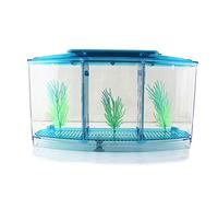Kit de Acuario Betta Bowl Incubadora cría Peces Caja Aislamiento acrílico con Luces LED en el Techo del Divisor Transparente Alto Rejilla Fondo Seguro y Protegido para Oficina hogar