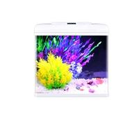 Kit De Acuario De Vidrio Rectangular Pequeño Para Escritorio, Con Luz LED De Color Ajustable, Bomba De Filtro Silenciosa 3 En 1 Y Accesorios De Decoración Acuática Incluidos(38.5x25.5x43cm)