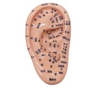 Kit de acupuntura de semillas de oído, kit de siembra de oído suave que incluye modelo de 5.1 pulgadas, imagen, semillas de acupuntura educativa para niños aprendiendo la siembra