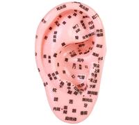 Kit de acupuntura de semillas de oído, modelo de oído elástico de PVC con grabado de acupunto claro, intuitivo y preciso para acupuntura, hospital, modelo escolar