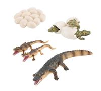 Kit de Animales de Ciclo de Vida: decoración de Figura de de tamaño estándar, Juguete de ciclos de Crecimiento de Animales, Modelo de evolución de biología | Educativo
