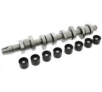 Kit de árbol de levas 428 0042 30 INA para FORD SEAT VW SKODA AUDI