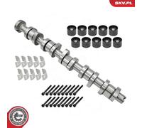 Kit de árbol de levas 80SKV305 ESEN SKV para VW TOUAREG MULTIVAN T5