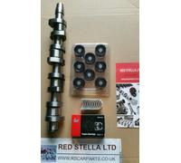 Kit De Árbol De Levas Con Cojinetes Para Audi A4 VW Passat 1.9 2.0 TDI 8V