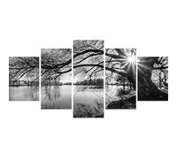 Kit de arte completo de diamantes 5D, árbol blanco y negro, superficie de lago, sol, 5 piezas, kits de arte multidiamante para adultos, kits de pintura con diamantes, kits de diamantes bordados por