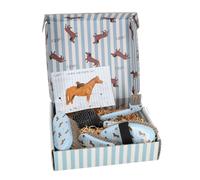 Kit de aseo QHP Stable Buddy TU