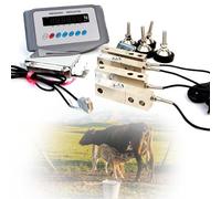 Kit de Báscula para Ganado Comercial, 5000kg Sis-tema Pesaje Animal Granja con Celdas de Carga Acero Inoxidable, Plataforma Precisión C3 con Patas Nivelación para Bovinos, Ovejas(1t)