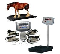 Kit de Báscula para Ganado de Precisión, 5000kg Plataforma Pesaje Animal con Construcción Impermeable y Pantalla LED, Báscula Granja Precisión C3 para Bovinos, Ovejas, Cerdos, Cabras(3t)