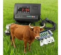 Kit De Báscula para Ganado, Indicador De Alta Precisión Pantalla LCD De Alta Precisión Diseño Resistente Al Agua para Vacas Cerdos Ovejas Agricultura Y Ganadería Uso Agrícola