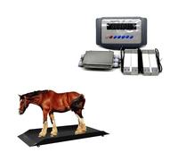 Kit de Báscula para Ganado Industrial, 12000kg Báscula Animal Robusta con Protección Sobrecarga, Sis-tema Pesaje Granja Precisión C3 para Bovinos, Ovejas, Cerdos en Agricultura(2t)