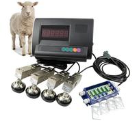 Kit de báscula veterinaria digital, juego de pesaje de plataforma de piso con indicador de alta precisión de 10000 libras con 4 sensores impermeables y caja de conexiones for ganado, vacas