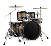Kit de batería de percusión profesional para principiantes y adultos, juego completo de instrumentos musicales para aprendizaje y actuación