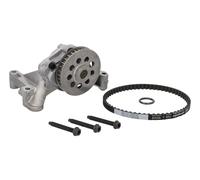 VAICO Polea tensora, correa auxiliar servicios para SKODA: Fabia, Citigo, Rapid & SEAT: Mii, Ibiza & VOLKSWAGEN: UP, Polo (Ref: V10-3430)
