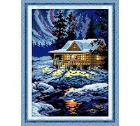 Kit de bordado cruzado de 11CT 27x38cm tela impresa bordado bricolaje kit de entrada simple bordado preimpreso para niñas artesanías artículos DMC bordado - Noche ártica