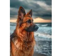 Kit de bordado de punto de cruz DIY Kit de punto de cruz de animales Corgi Perro y paisaje marino Kit de punto de cruz de algodón de 11 CT-40X50CM
