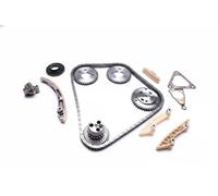 Kit de cadena de distribución 21SKV207 ESEN SKV para JAGUAR FORD LTI