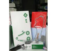 Kit de cadena de distribución ina para Suzuki Swift IV (FZ-NZ) 1.3 multijet