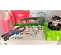 Kit de cadena de distribución ina para Fiat Doblò 1.3 multijet