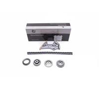 Kit de cadena de la bomba de aceite 21SKV104 ESEN SKV para VW AUDI SEAT SKODA