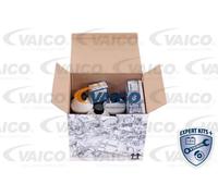 VAICO Kit piezas, cambio aceite caja automática para VOLKSWAGEN: Passat, Golf & AUDI: A4, Cabriolet, Coupé, A6, 80 & SEAT: Alhambra (Ref: V10-3847)