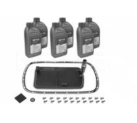Kit de cambio de aceite de la caja de cambios Automática, 5 vel. 300 135 0401