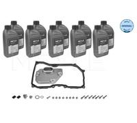 Kit de cambio de aceite de la caja de cambios Automático, 6 vel. 300 135 0306/XK