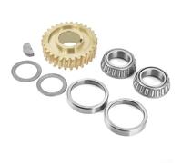 Kit de carreras de rodamientos de engranajes de eje de dientes de acero compatible con Troy Horse Tiller Gw-11527 Gw-1064 con diseño de paso de 30 dientes para una restauración eficiente de la
