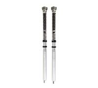 Kit de cartuchos de horquilla Öhlins FKR 100 para KAWASAKI ZX-6R / 636 13-26