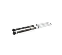Kit de cartuchos de horquilla Öhlins NIX 30 para TRIUMPH DAYTONA 660 24-25