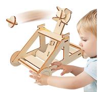 Kit De Catapulta: Juego De Modelos De Catapulta De Madera, Juguete Lanzador De Física De Escritorio, Actividad De Construcción De Ingeniería STEM, Kit De Proyectos De Ciencias Educativas, Juego De Rom