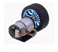 Kit de chasis inteligente for coche de 6 V, 12 V y 24 V con motor de CC, neumático, soporte, codificador y acoplamiento, for autoequilibrio de dos ruedas.(Type C,6V_600RPM)
