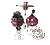 Kit de Cilindro de Gran Cilindro de 49mm y 90cc y cigüeñal de Carreras for Rieju 50 Drac MRT Pro Enduro NKD RR SM Spike Cross Funbike 50cc AM6 Piezas de Repuesto