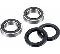 Kit de cojinete de rueda FACTORY LINKS ARA-Y-011