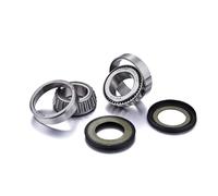 KIT DE COJINETES DE DIRECCIÓN PARA AJP BMW KAWASAKI KTM SUZUKI TM