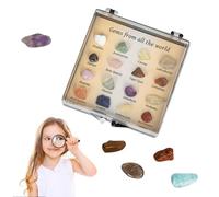 Kit De Colección De Piedras Preciosas - Juego Educativo De Especímenes De Pulido | Piedras Etiquetadas para El Aprendizaje De Geología, Juguete De Descubrimiento Científico para Niños, 16 A 25