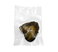 Kit de collar de perlas de deseo, kit de fabricación de collares, juego de perlas cultivadas en ostra, colgante de margarita personalizado, sorpresa de Navidad del día de San Valentín para esposa