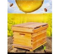 Kit de Colmena de Abejas de Madera 10 Marcos con Caja Profunda Madera de, Colmena de abejas melíferas - Ideal para Principiantes y Apicultores Profesionales - Fabricación Sostenible y Duradera