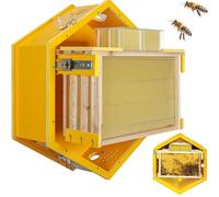 Kit de colmena para principiantes, colmena hexagonal montada en la pared con ventana de observación para apicultura