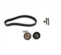 Schaeffler INA Kit de distribución para PEUGEOT: 207, 307, 1007, 206 & CITROËN: C4, C3, C2 (Ref: 530 0419 10)