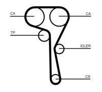 CONTITECH Kit de distribución para SEAT: Ateca, Ibiza, Arona, Leon, Tarraco & SKODA: Karoq, Fabia, Scala, Octavia, Kamiq (Ref: CT1167K5)
