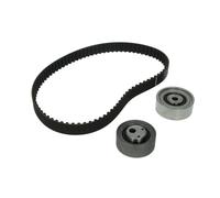 Kit de correa de distribución INA 530 0050 10