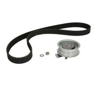 Kit de correa de distribución INA 530 0171 10