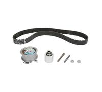 Kit de correa de distribución INA 530 0201 10