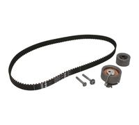 INA 530 0237 10 Kit de correa de distribución