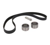 Kit de correa de distribución INA 530 0602 10
