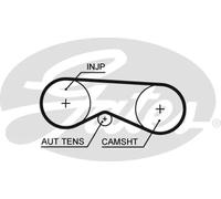 Kit de correa de distribución K015557XS GATES para AUDI VW SKODA